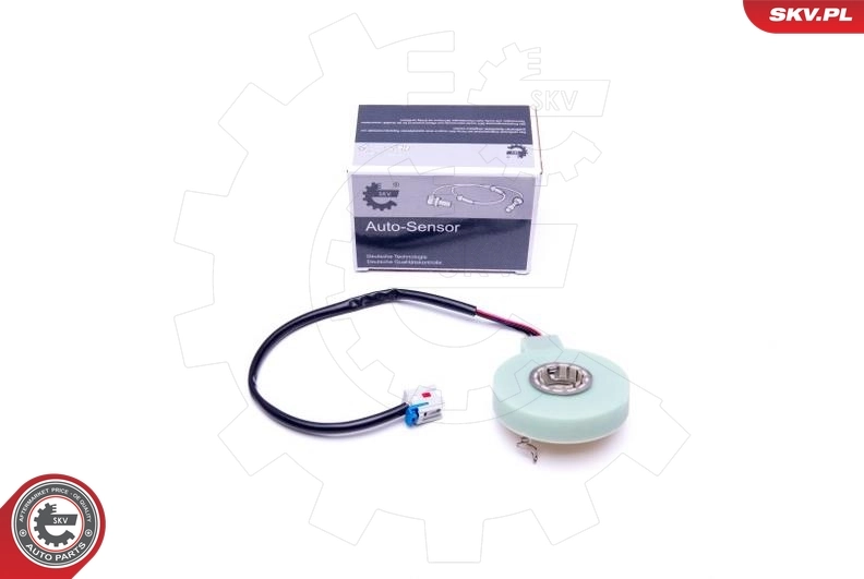 Steering Angle Sensor
